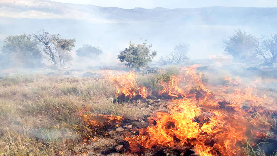 مرگ داوطلبِ آموزش‌ندیده  در آتش سوزی  جنگل های ممسنی و یک تلنگر به مسولان استان/اطفای حریق راهکار علمی میخواد 