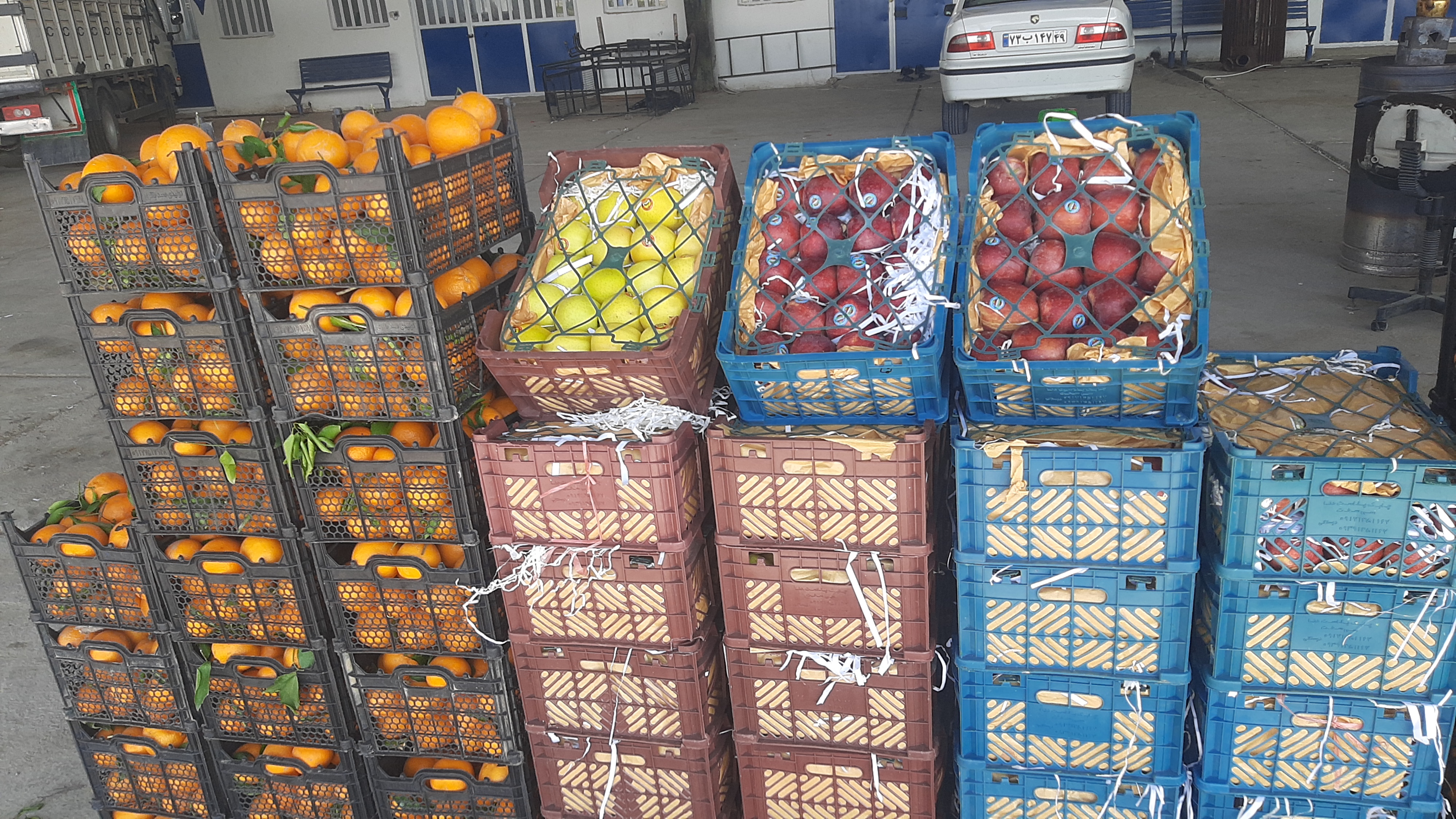 بازار عجیب میوه شب عید در یاسوج؛ از خرده فروشی که برای عمده فروش نرخ تعیین می کند تا مافیایی که در نبود نظارت علیه بازار تره بار است!