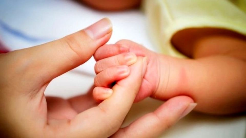 زمان برداشت سهام نوزادان در بورس اعلام شد/+جزییات