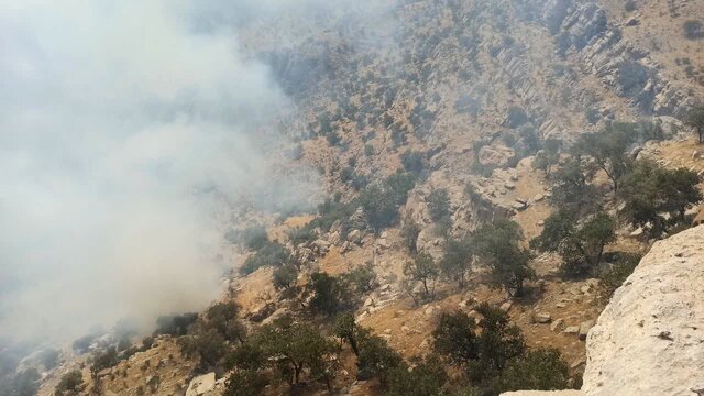 آتش جنگل‌های ارتفاعات کوه «نارک» گچساران کامل مهار شد