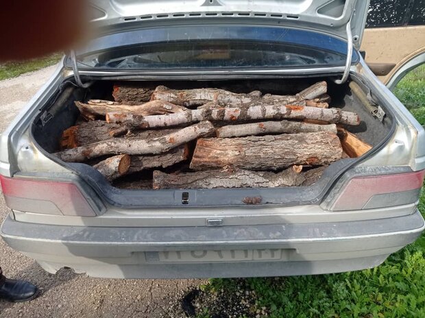 ۴۶ خودروی حامل چوب قاچاق در کهگیلویه و بویراحمد توقیف شد