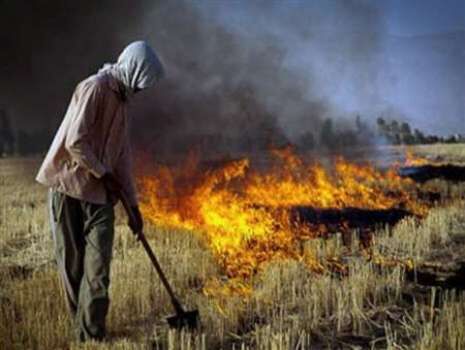 آتش سوزی های مکرر در مزارع گچساران و بی احتیاطی که سرمایه های مردم را تهدید می کند