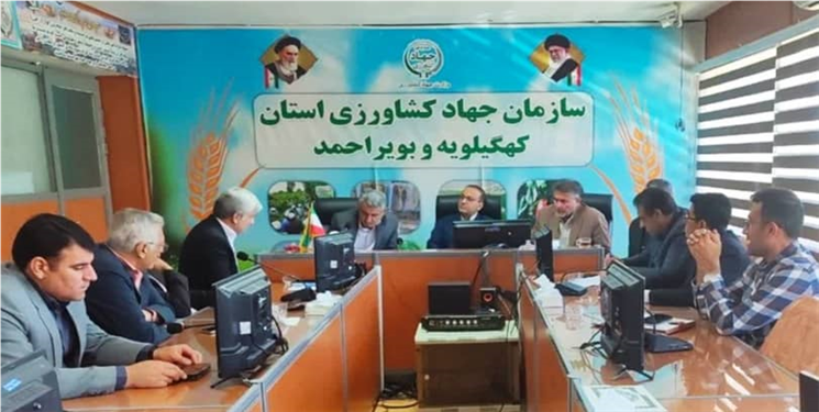 رئیس جهاد کشاورزی استان: ریشه‌کنی تب مالت یک عزم ملی می‌خواهد