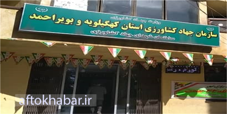 جوابیه جهادکشاورزی استان به خبر کمبود غذای ماهی در استان/ مشکلی که بعد از 45 سال در حال حل شدن است/ هر مدیری بیشتر کار می‌کند مورد حمله قرار می‌گیرد