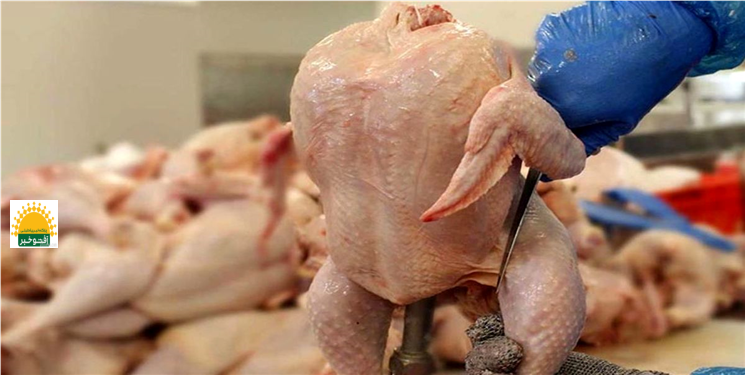 کاهش قیمت مرغ در کهگیلویه و بویراحمد