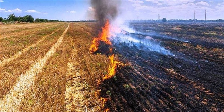 اطلاعیه اداره کل منابع طبیعی و آبخیزداری کهگیلویه و بویراحمد در خصوص آتش زدن مزارع و باغات 