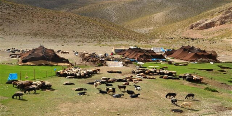 توزیع ۱۰۰ تن جو دولتی بین عشایر شهرستانهای دنا و مارگون