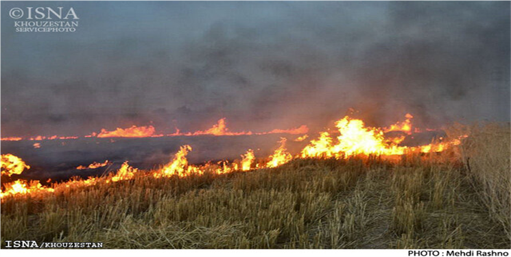 آتش زدن بقایای کاه و کلش مزارع کشاورزی ممنوع است