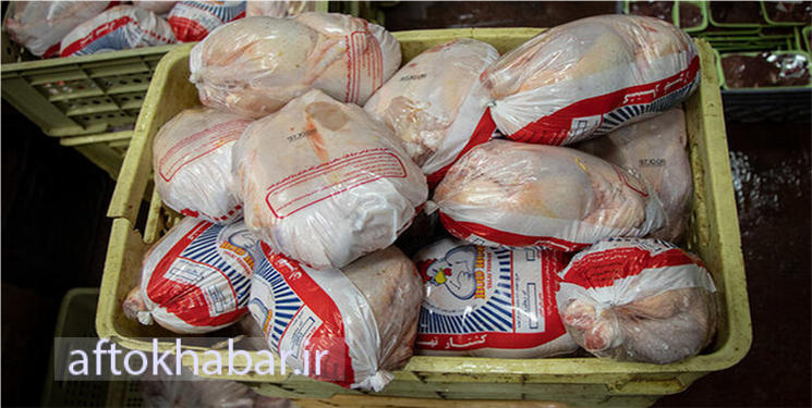 توزیع ۱۴۰ تن مرغ منجمد در کهگیلویه و بویراحمد 