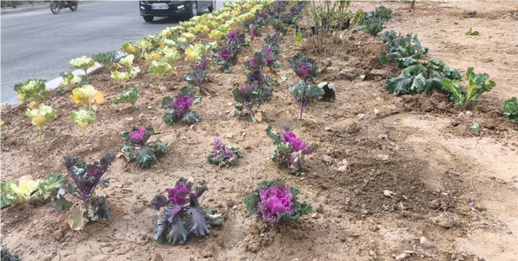 خدمات یکپارچه شهری در دوگنبدان؛ از کیامرثی تا رادک