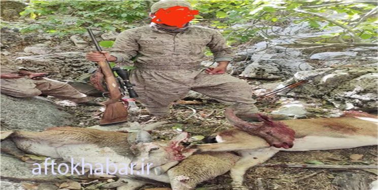 شکارچی متخلف حرفهای دنای شرقی دستگیر شد
