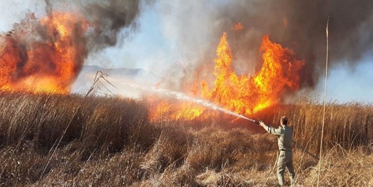 عامل آتش‌سوزی جنگل‌ها و مراتع منطقه پریکدان بویراحمد دستگیر شد