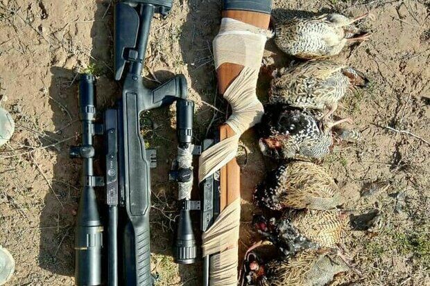 شکارچیان متخلف  گچساران گرفتار نیروی انتظامی شدند