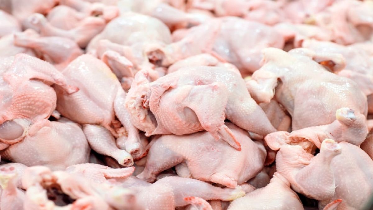 جدیدترین قیمت گوشت مرغ منجمد دولتی