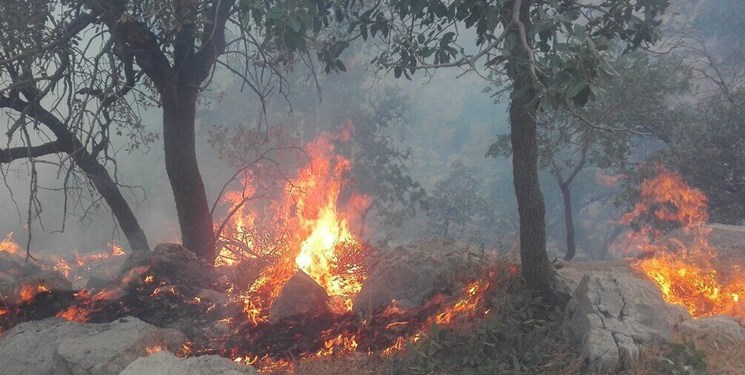 کاهش ۹۰ درصدی آتش‌سوزی‌ در جنگل‌ها/ 660 هکتار از مراتع کهگیلویه و بویراحمد بحرانی تشخیص داده شد
