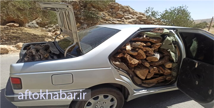 خودروی شوتی حامل چوب قاچاق در گچساران توقیف شد