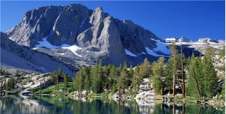 نگذاریم دنای محتشم و سربلند بمیرد