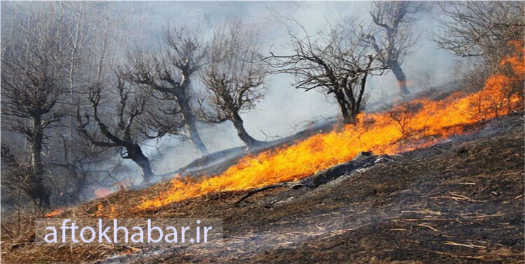 تاکید دادستان یاسوج بر برخورد قاطع با عاملان آتش‌سوزی جنگل‌های کهگیلویه و بویراحمد