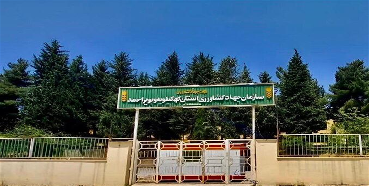 گزینه عجیب و بحث‌برانگیز برای جهاد کشاورزی استان؛ شایسته‌سالاری زیر سایه ملاحظات قومی استاندار؟!