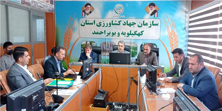 ۹۰۰ هکتار از اراضی بهمئی و بویراحمد تعیین تکلیف شدند