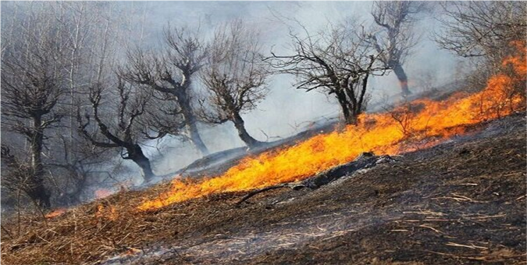 هشدار رئیس جهادکشاورزی استان در خصوص آتش‌سوزی در جنگل‌ها و مراتع کهگیلویه و بویراحمد  