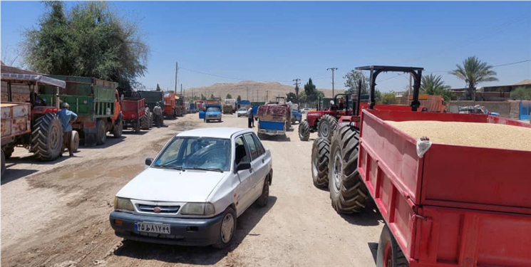 مطالبات گندمکاران پرداخت می‌شود 